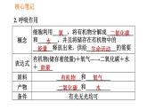 人教版七年级上册生物习题课件 第3单元 3.5.2 绿色植物的呼吸作用