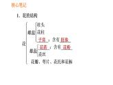 人教版七年级上册生物习题课件 第3单元 3.2.3 开花和结果