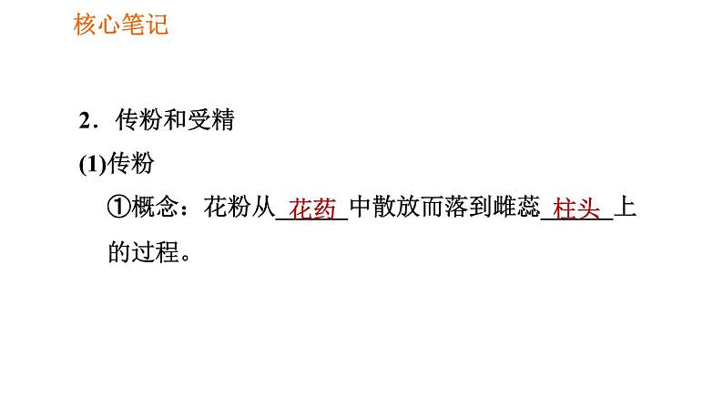 人教版七年级上册生物习题课件 第3单元 3.2.3 开花和结果03