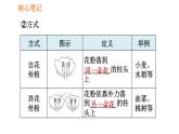 人教版七年级上册生物习题课件 第3单元 3.2.3 开花和结果