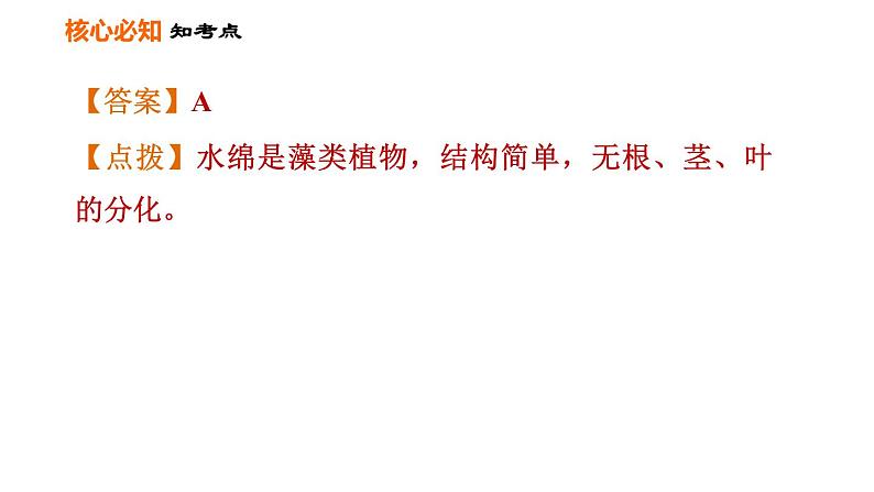 人教版七年级上册生物习题课件 第3单元 第一、二章巩固强化复习训练05