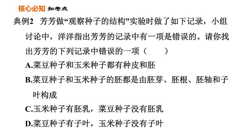 人教版七年级上册生物习题课件 第3单元 第一、二章巩固强化复习训练07