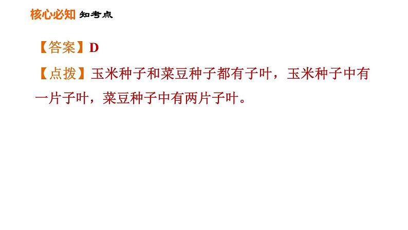 人教版七年级上册生物习题课件 第3单元 第一、二章巩固强化复习训练08