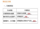 人教版七年级上册生物习题课件 期末复习 第一单元 生物和生物圈