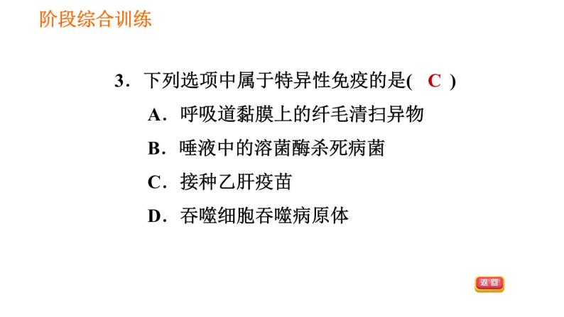 人教版八年级下册生物 第8单元 习题课件06