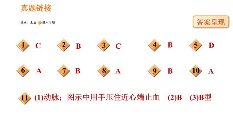 人教版八年级下册生物 第8单元 习题课件06