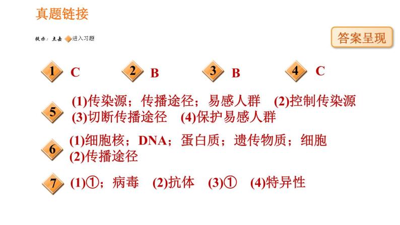 人教版八年级下册生物 第8单元 习题课件02