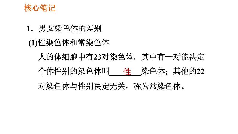 人教版八年级下册生物 第7单元 习题课件02