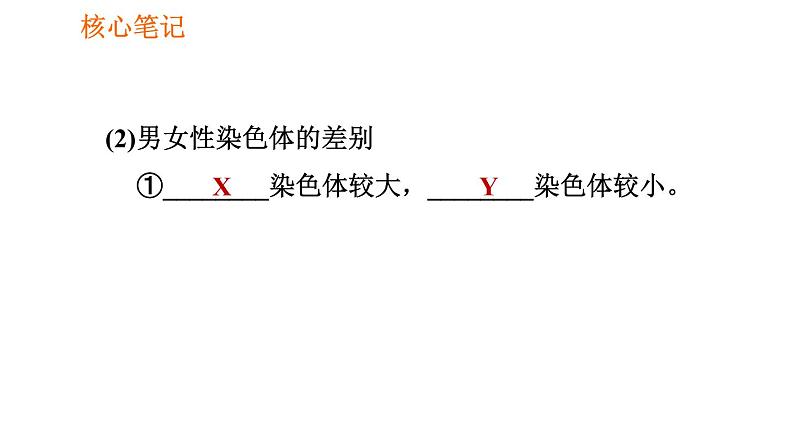 人教版八年级下册生物 第7单元 习题课件04