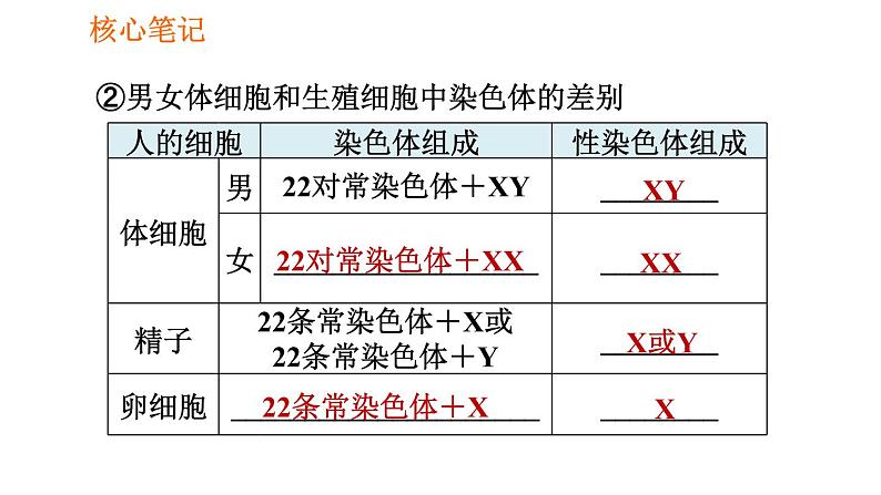 人教版八年级下册生物 第7单元 习题课件05