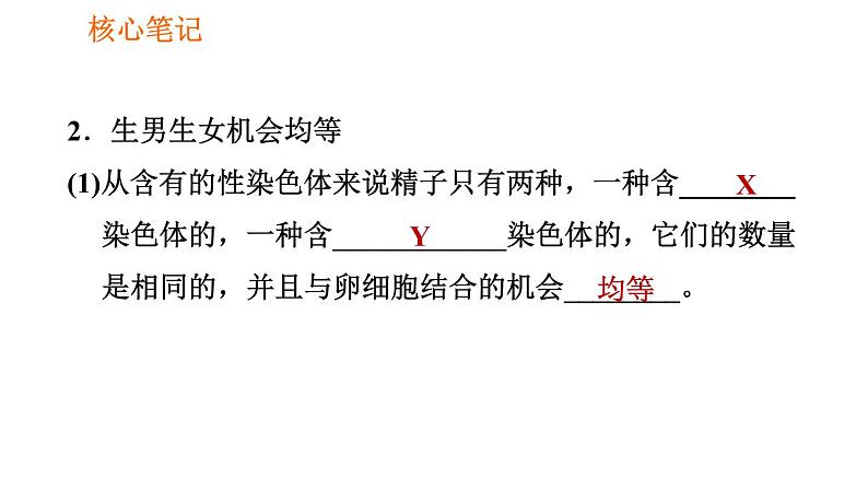 人教版八年级下册生物 第7单元 习题课件06