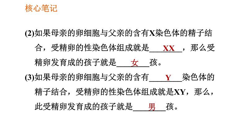 人教版八年级下册生物 第7单元 习题课件07