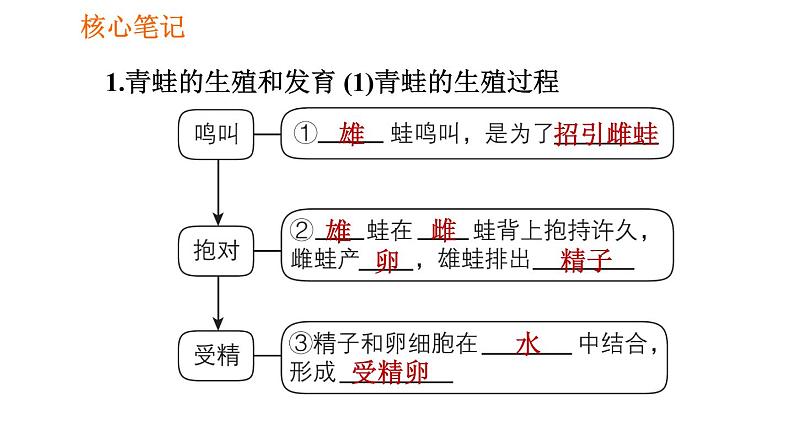 人教版八年级下册生物 第7单元 习题课件02