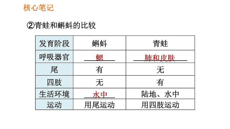 人教版八年级下册生物 第7单元 习题课件04