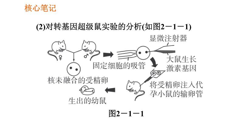 人教版八年级下册生物 第7单元 习题课件06