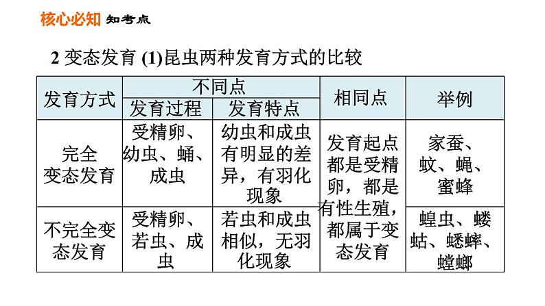 人教版八年级下册生物 第7单元 习题课件06