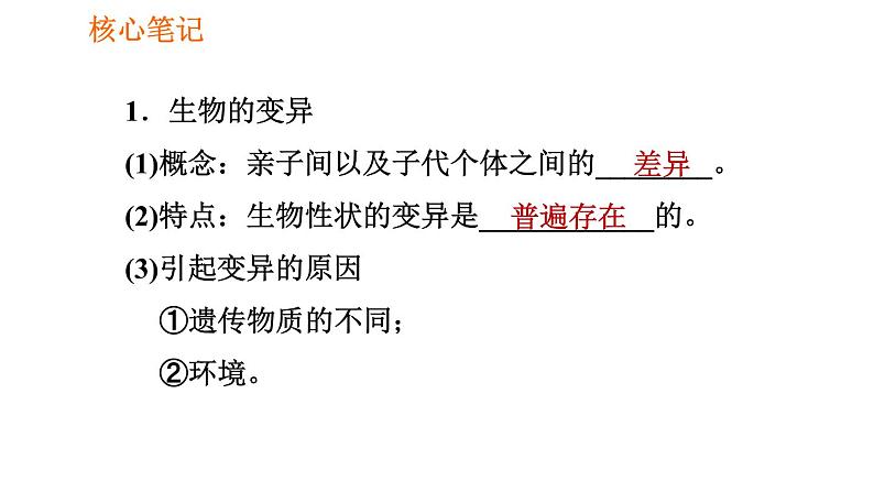 人教版八年级下册生物 第7单元 习题课件02