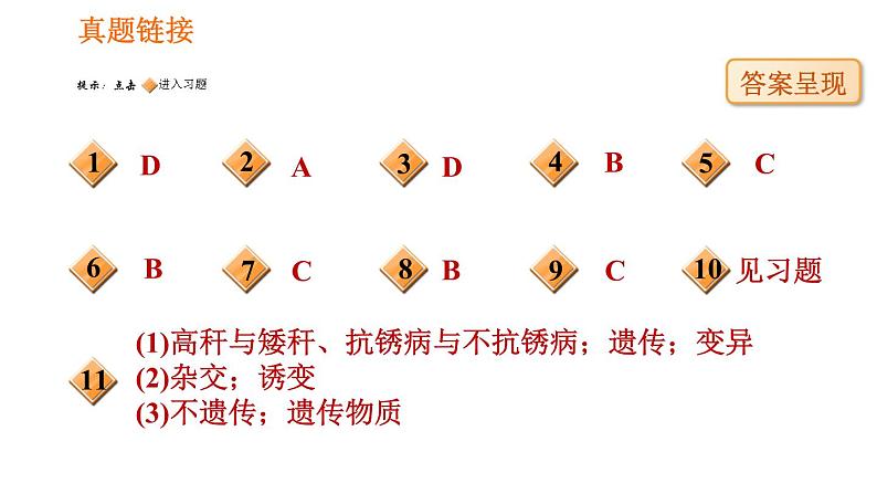 人教版八年级下册生物 第7单元 习题课件05