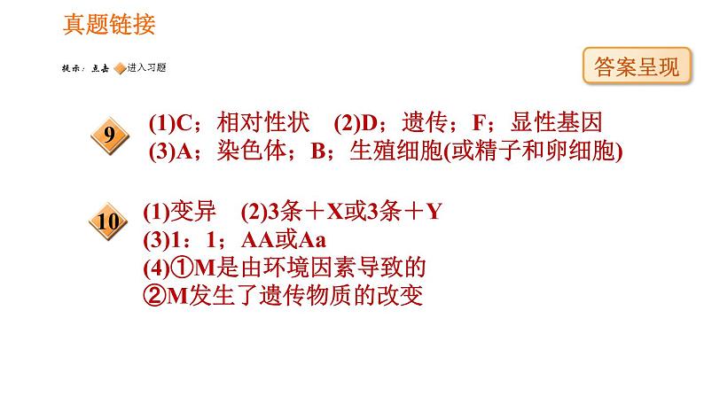 人教版八年级下册生物 第7单元 习题课件03