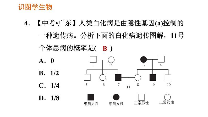 人教版八年级下册生物 第7单元 习题课件08