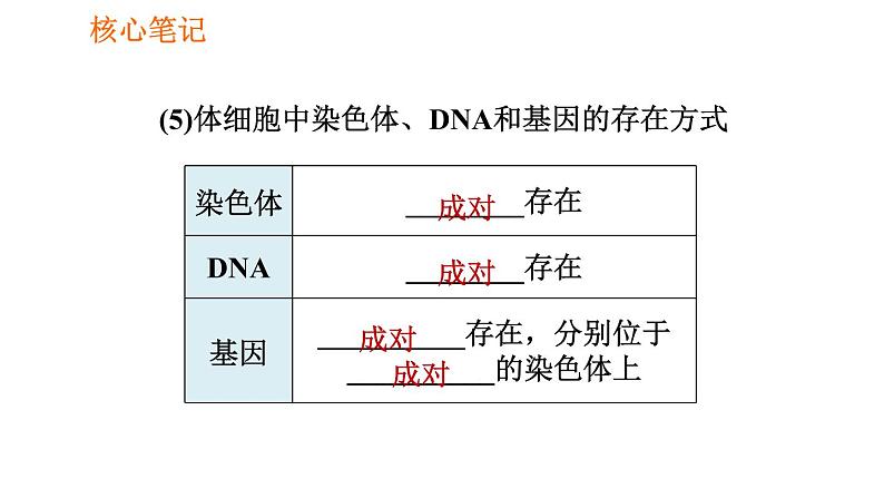 人教版八年级下册生物 第7单元 习题课件05