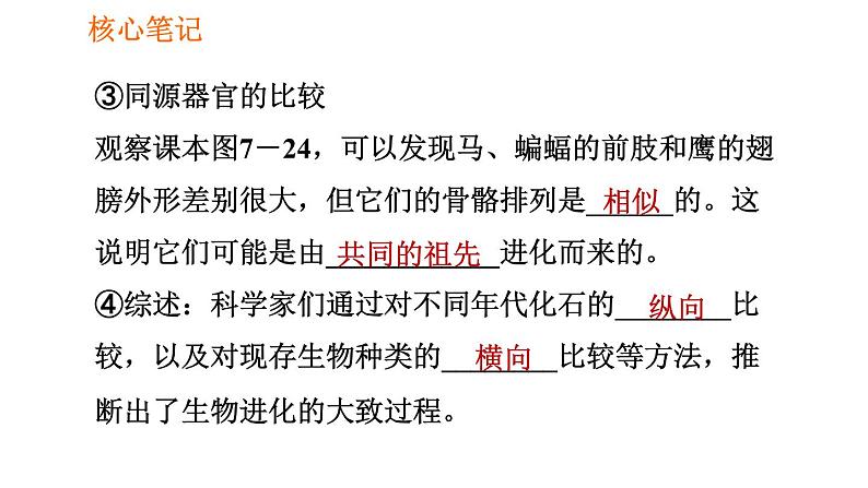 人教版八年级下册生物 第7单元 习题课件06