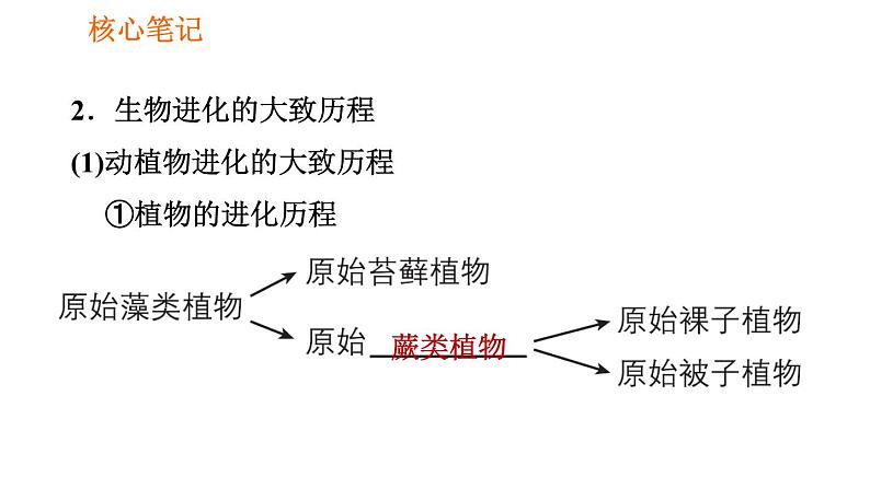 人教版八年级下册生物 第7单元 习题课件07