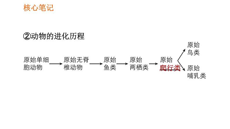 人教版八年级下册生物 第7单元 习题课件08