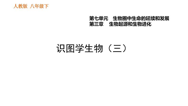 人教版八年级下册生物 第7单元 习题课件01