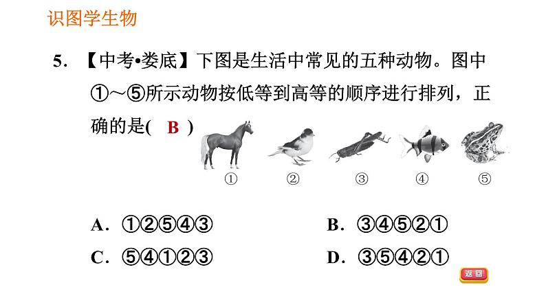 人教版八年级下册生物 第7单元 习题课件07