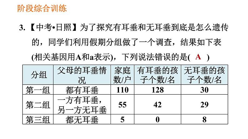 人教版八年级下册生物 第7单元 习题课件06