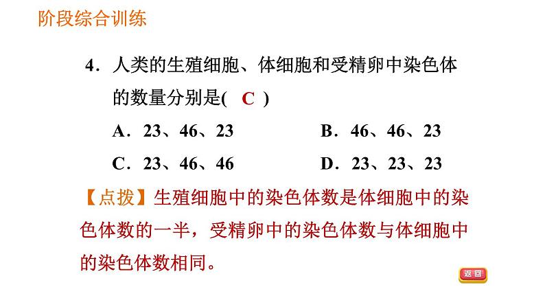 人教版八年级下册生物 第7单元 习题课件08