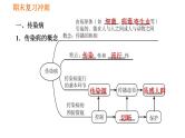 人教版八年级下册生物 期末复习冲刺 习题课件