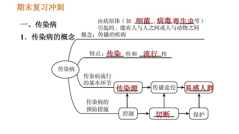 人教版八年级下册生物 期末复习冲刺 习题课件02