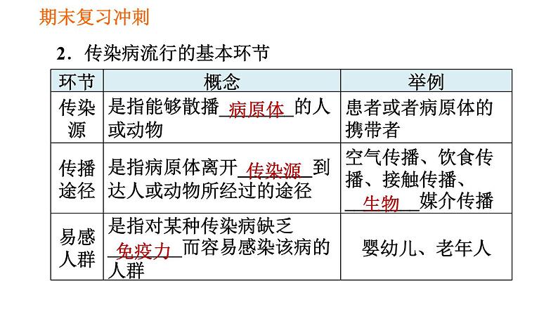 人教版八年级下册生物 期末复习冲刺 习题课件03