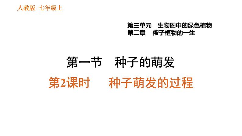 人教版七年级上册生物习题课件 第3单元 3.2.1.2 种子萌发的过程第1页