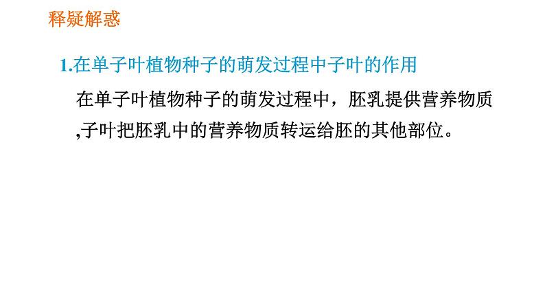 人教版七年级上册生物习题课件 第3单元 3.2.1.2 种子萌发的过程第6页