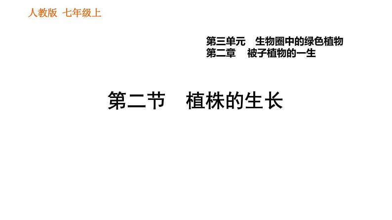 人教版七年级上册生物习题课件 第3单元 3.2.2 植株的生长第1页