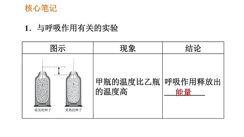 人教版七年级上册生物 第3单元 习题课件 002