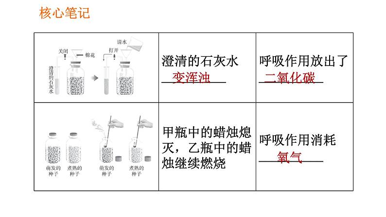 人教版七年级上册生物 第3单元 习题课件 003