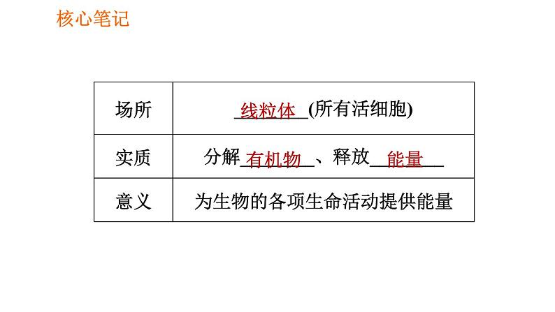 人教版七年级上册生物 第3单元 习题课件 005