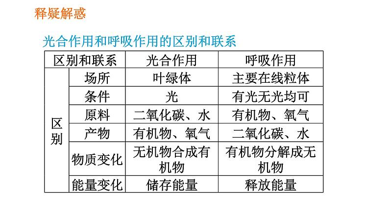 人教版七年级上册生物 第3单元 习题课件 008