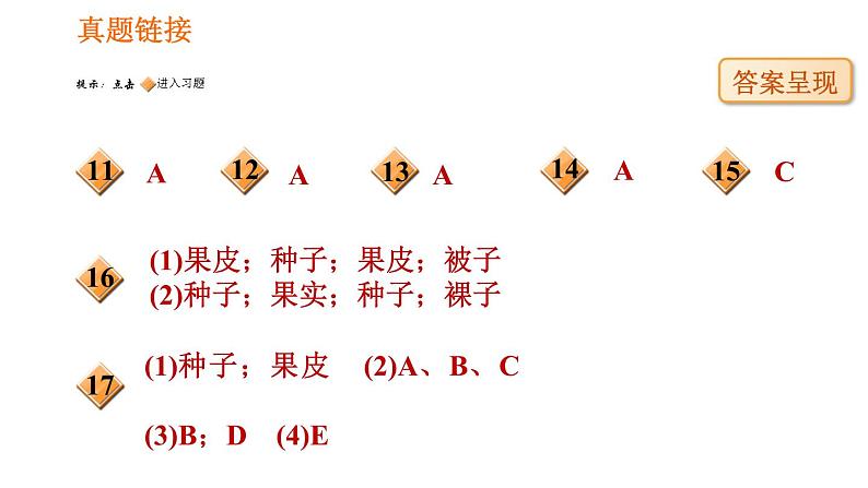 人教版七年级上册生物 第3单元 习题课件 008