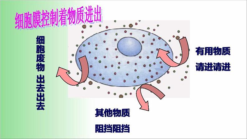 2021——2022学年人教版七年级生物上册2.1.4 细胞的生活课件第7页