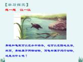 2021——2022学年人教版八年级生物上册5.1.5两栖动物和爬行动物课件