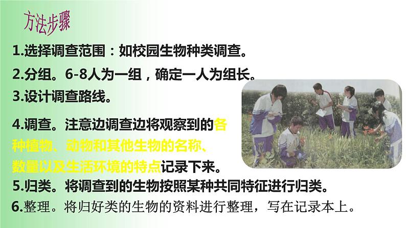 2021——2022学年人教版七年级生物上册1.1.2 调查周边环境中的生物 课件第6页