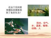 2021-2022学年北师大版七年级生物上册1.1.2  生物与环境的相互影响课件