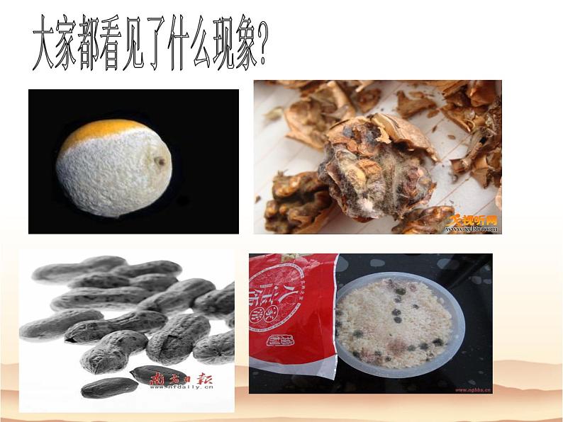 2021-2022学年北师大版七年级生物上册1.1.2  生物与环境的相互影响课件08