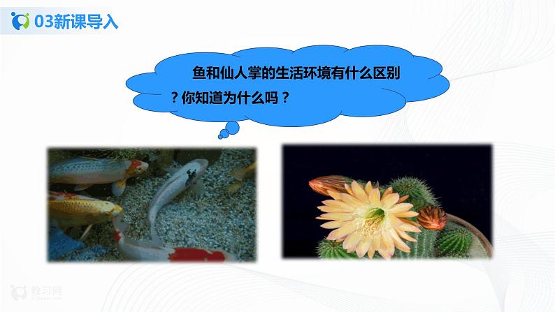 1.2.1 生物与环境的关系 第1课时 课件PPT+教案+同步练习05