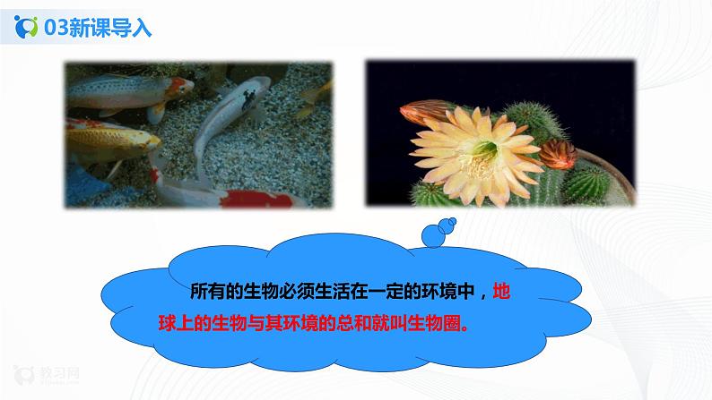 1.2.1 生物与环境的关系 第1课时 课件PPT+教案+同步练习06